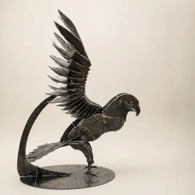 Profile studio visual of the eagle and its layered wing structure